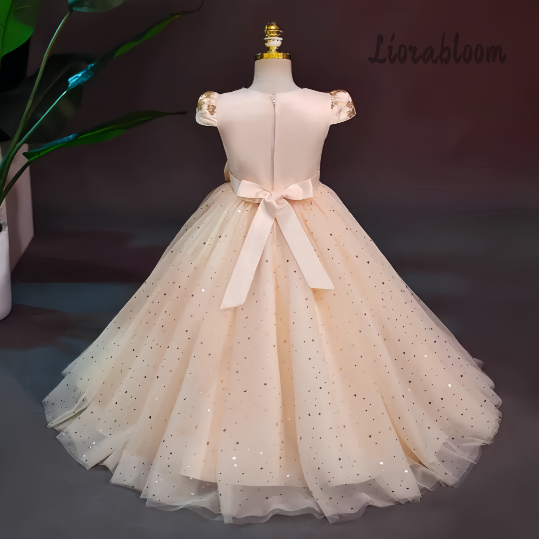 Formal Multicolor Evening Gown - Formal Women'S Wear 리뷰 및 가격