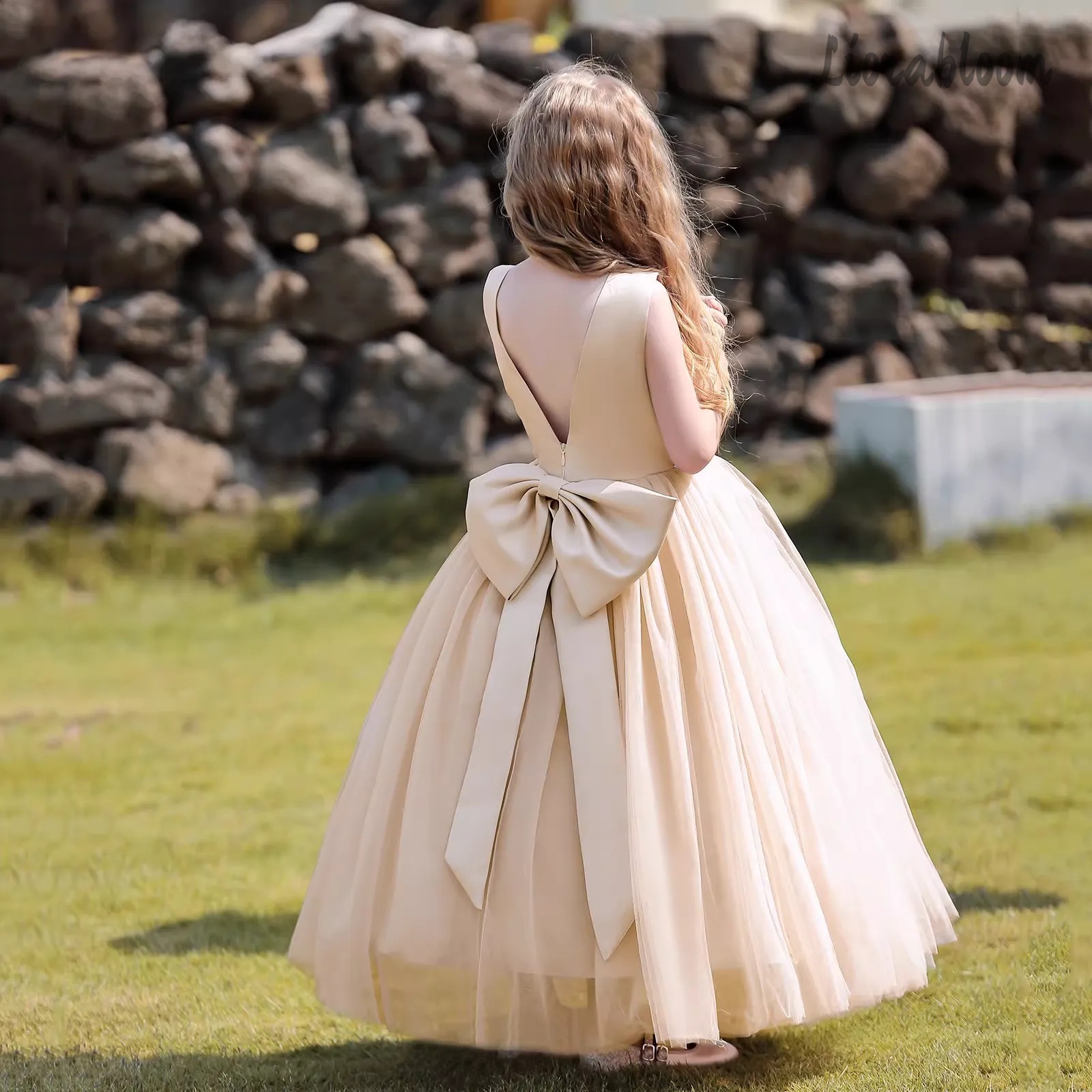 Multicolor Backless Princess D - Formal Women'S Wear 리뷰 및 가격